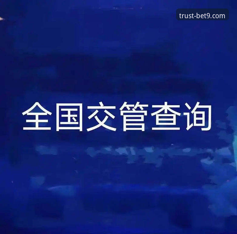 信誉备用网址推荐 信誉备用网址推荐 vs 普通网址入口:十年老牌平台验证下的选择差异